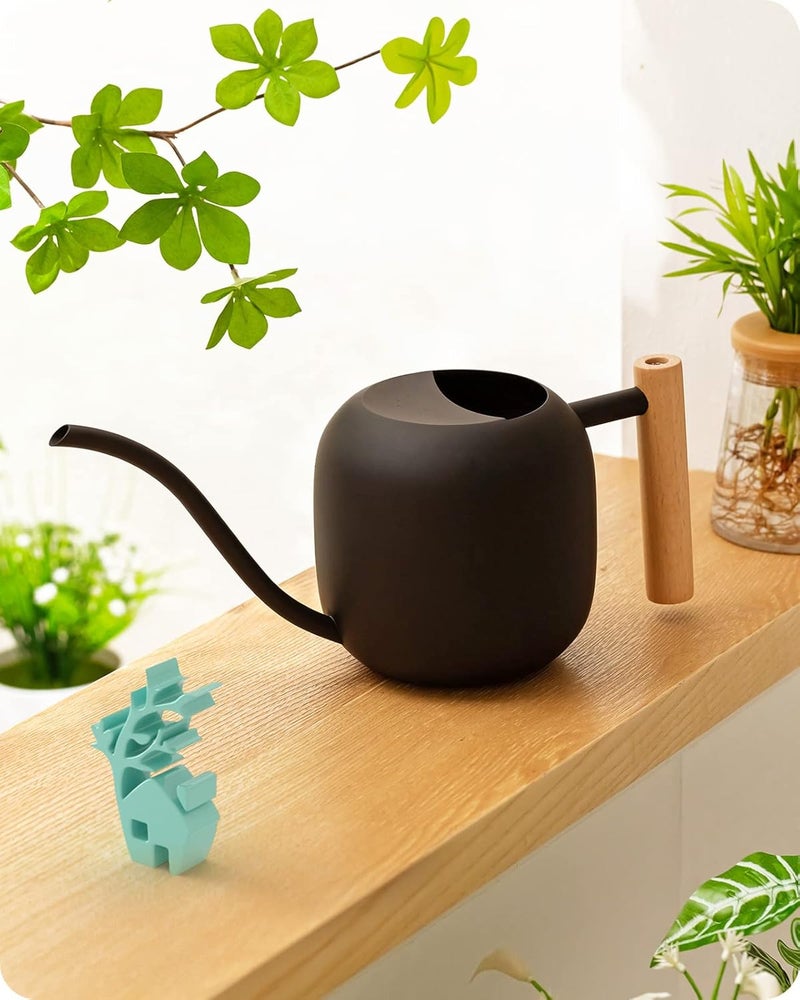 baffect Watering Can Indoor Plants, 1.2L/41OZ Cute Watering Can Pot, Metal Stainless Steel Garden Water Can with Long Spout for Indoor House Plants Bonsai Outdoor Garden Flower Decorative - Image 1